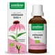 ECHINACEA FORTE (JEŻÓWKA PURPUROWA) KROP LE BIO 50 ml - PURASANA