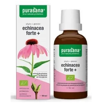 ECHINACEA FORTE (JEŻÓWKA PURPUROWA) KROP LE BIO 50 ml - PURASANA