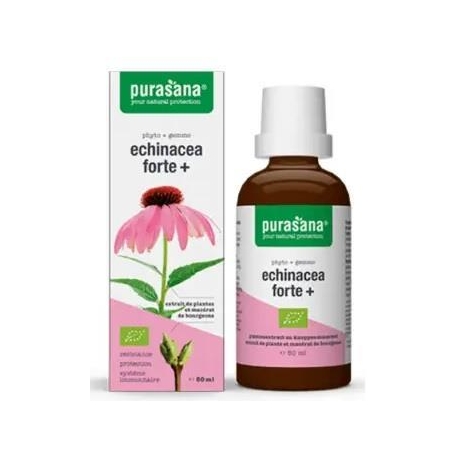 ECHINACEA FORTE (JEŻÓWKA PURPUROWA) KROP LE BIO 50 ml - PURASANA