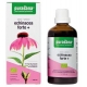 ECHINACEA FORTE (JEŻÓWKA PURPUROWA) KROP LE BIO 100 ml - PURASANA