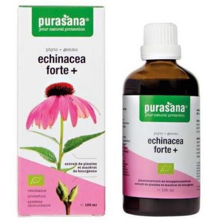 ECHINACEA FORTE (JEŻÓWKA PURPUROWA) KROP LE BIO 100 ml - PURASANA